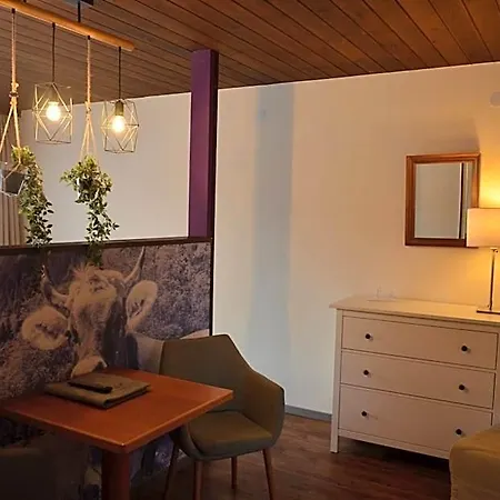 Dahoam By Sarina - & Hotel Zell am See