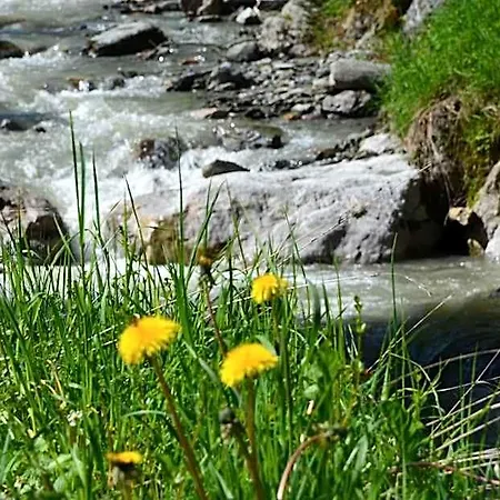 Dahoam By Sarina - & Hotel Zell am See